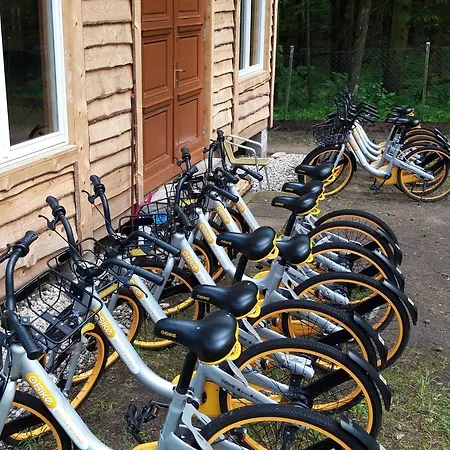 Sosnowy Raj - Na Mazurach Kemping Maradki