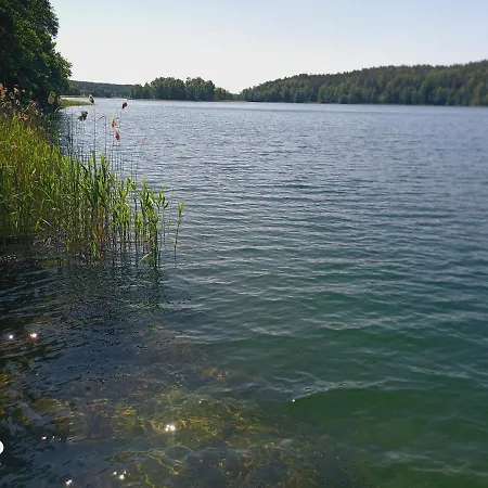 Sosnowy Raj - Na Mazurach Κάμπινγκ
