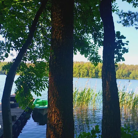 Sosnowy Raj - Na Mazurach